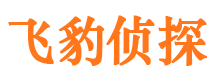 青山寻人公司